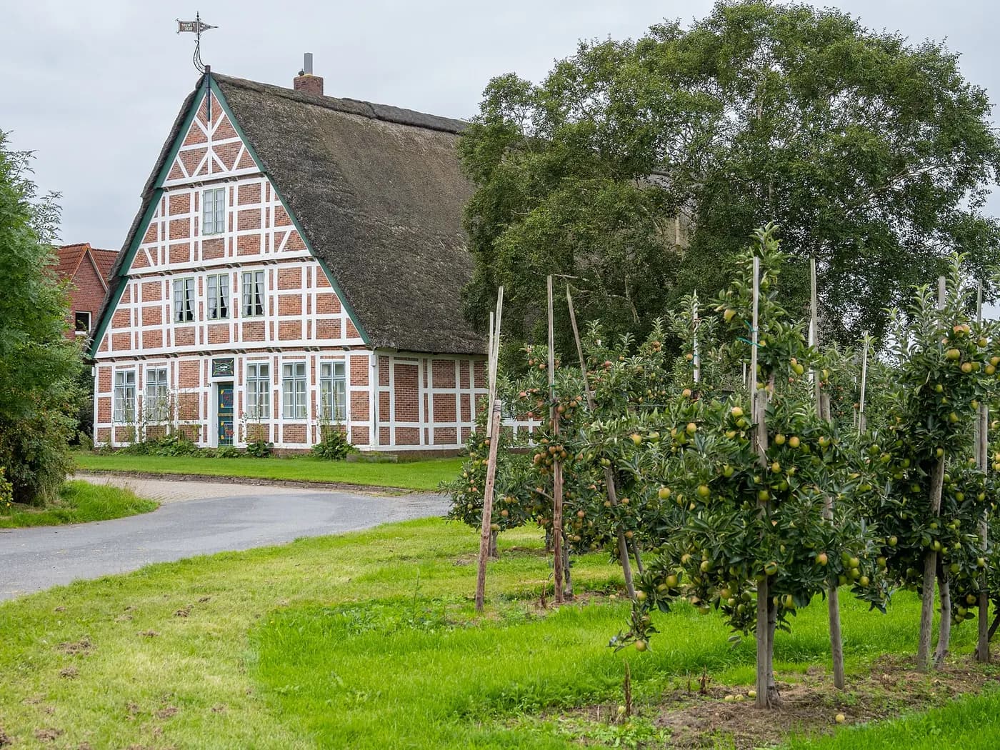 Altländer Fachwerkhaus mit Reetdach und Obstbäumen bei Jork im Alten Land